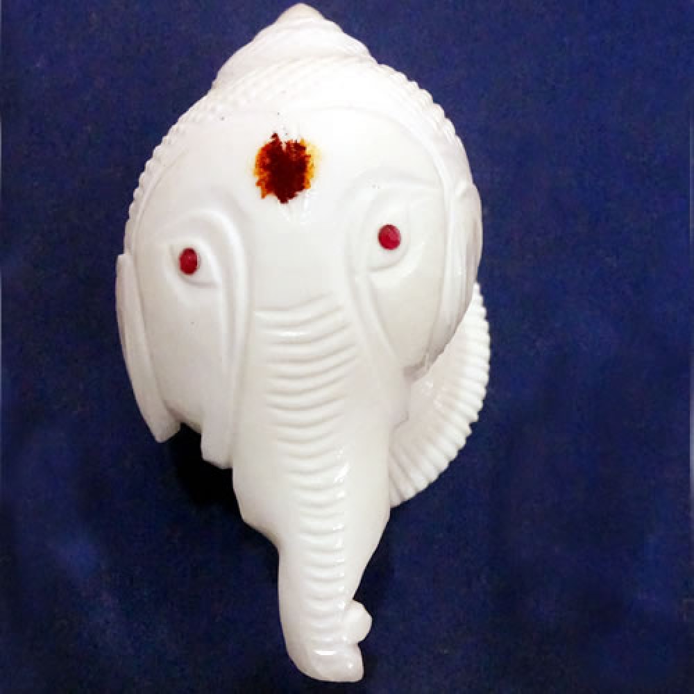 Ganesha Shanku (Shell)